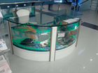 Изготовление любых аквариумов под заказ объявление продам