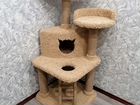Домики для кошек - когтеточки Колпино объявление продам