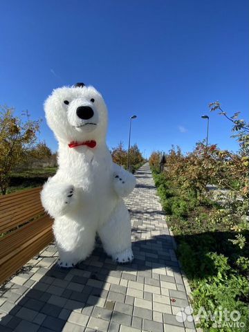 Белый мишка поздравление, Панда, шоу звёзд