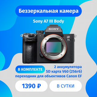 Беззеркальная камера Sony Alpha a7 III и объектив