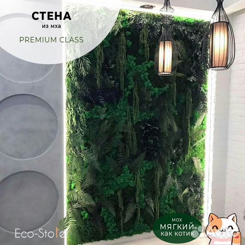 Стена из мха с подсветкой