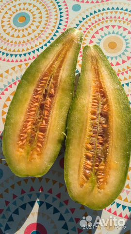 Огурдыня семена