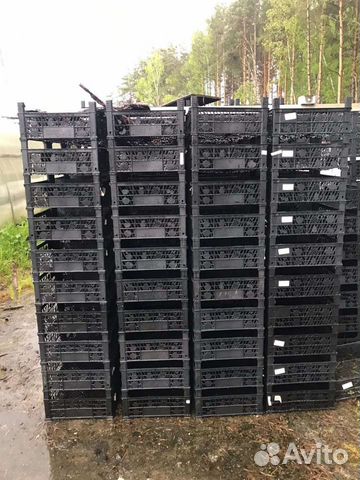 Ящик пластиковый