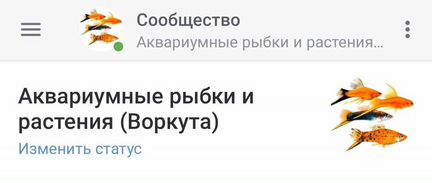 Аквариумные рыбки, улитки и растения