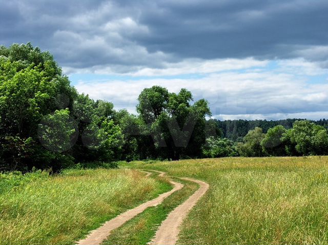 Участок 31,5 сот. (ИЖС)