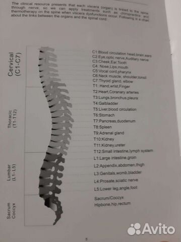 Массажная кровать lux tag