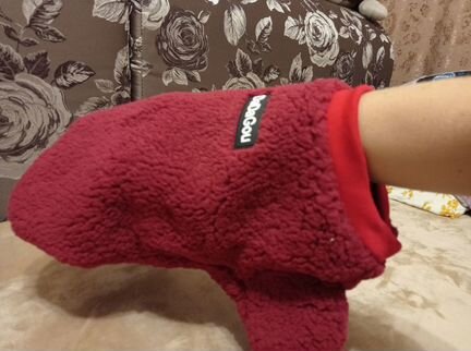 Одежда для собак