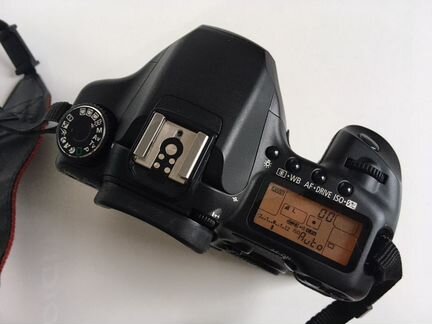 Canon 40d body