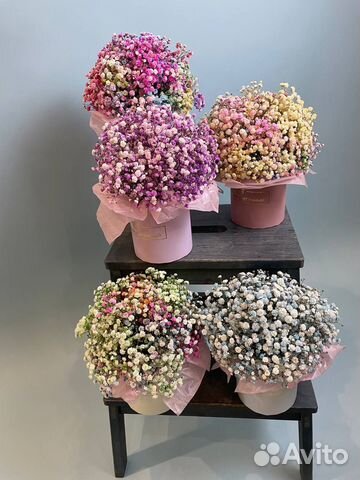 Гипсофила. Букеты. Коробочки. Доставка