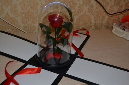 Розы в колбе