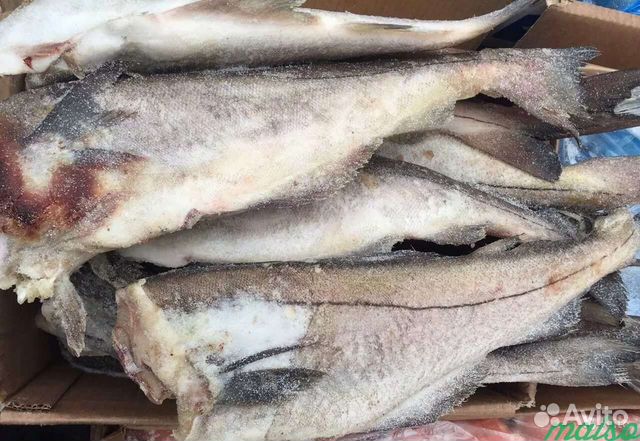 Как выглядит рыба пикша Продукты питания рыба купить в Рязани Товары для дома и дачи Авито