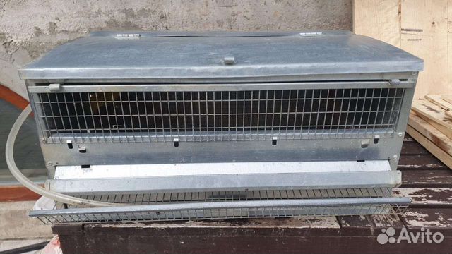 Клетка для перепелов (поилка, кормушка, поддон)