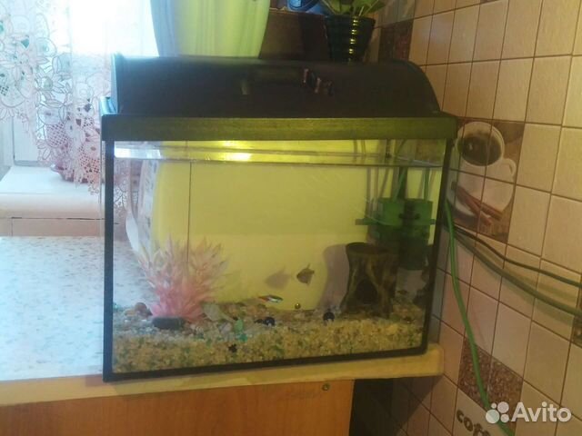 Аквариум