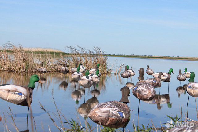 Приманки для охоты на водоплавающую дичь