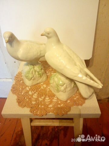 Голуби 2шт