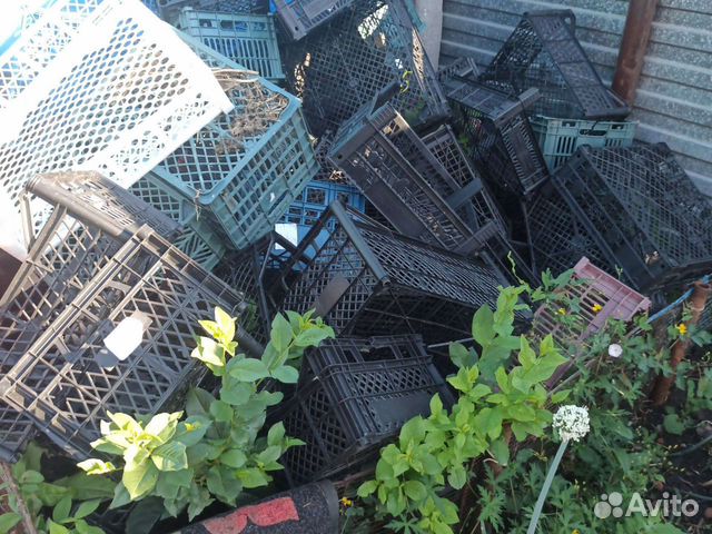 Ящик пластиковый