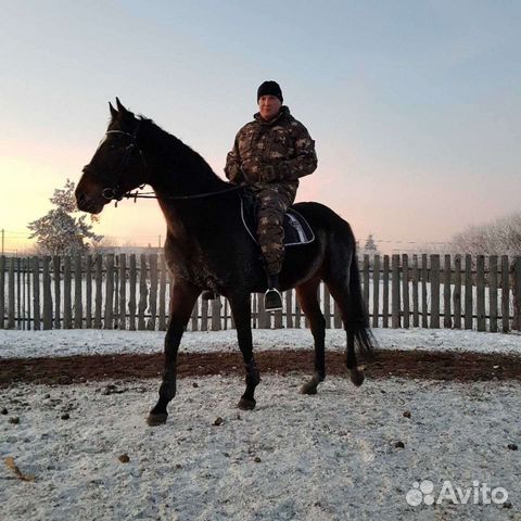 Техник, Механик