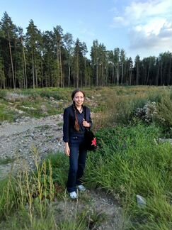 Преподаватель: рки, юрист, эл.кат. ргб, шахматы