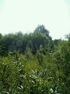 Участок 8 сот. (СНТ, ДНП)