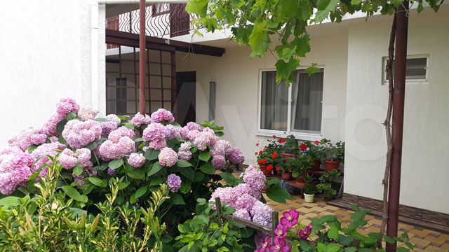 Комната 15 м² в 1-к., 1/2 эт.