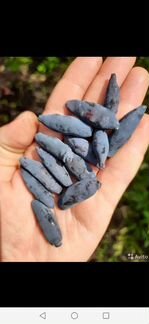 Жимолость крупная саженцы без горечи