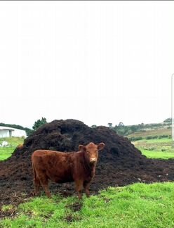 Навоз,земля,перегной, доставка Камазом