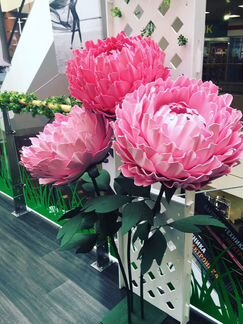 Большие цветы. Аренда/продажа