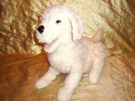 Собака робот белая Hasbro Cookie под ремонт