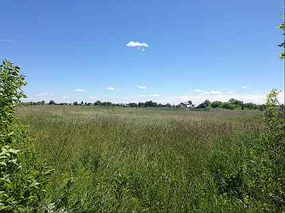 Панино липецкая обл. Панино Липецкая область. Село Панино Липецкая область. Панино Липецк.