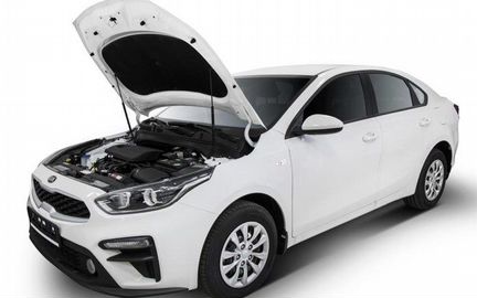 Амортизаторы (Упоры) капота Kia Cerato 2018-н.в