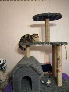 Домик для кота или кошки