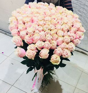 Розы (кустовые розовые)