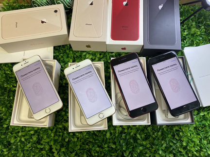 iPhone 8 64Gb 4 телефона Золото/Черный /красный