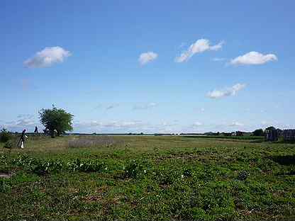 Просечье. Скобелев усадьба заборово. Просеченская сош. Рязанская губерния село реткино. Село просечье.