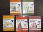 Карточки по анатомии (5 наборов)