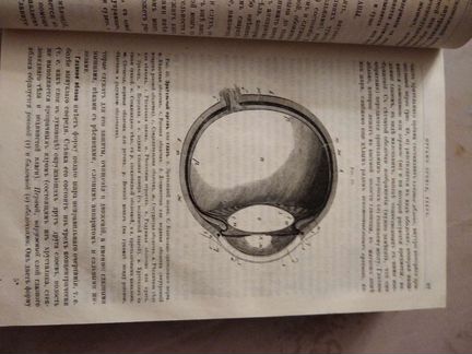 Школа здоровья 1882 Москва антиквариат