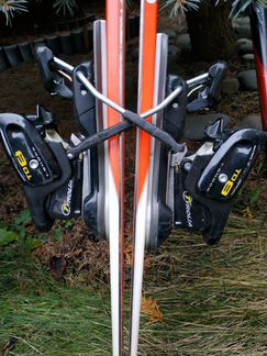 Горные лыжи