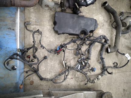 Проводка мотора Ford Focus III, МКПП, 1.0 л
