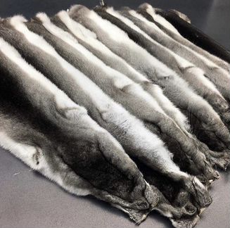 Шкурки Шиншиллы отборные, Венгерское качество люкс