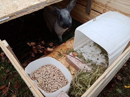 Клетка для кроликов