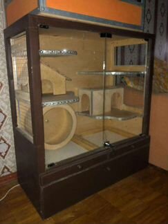Витрина для шиншилл