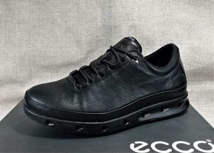 Ecco cool