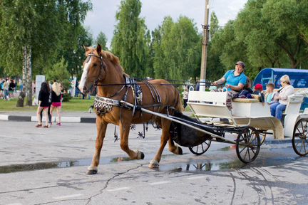 Карета для лошади