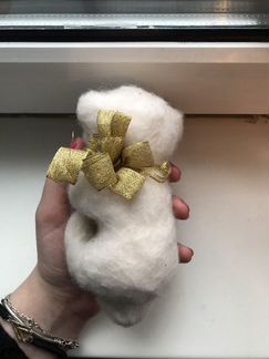 Валяный котёнок