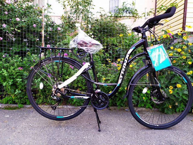 trinx touring 1.0