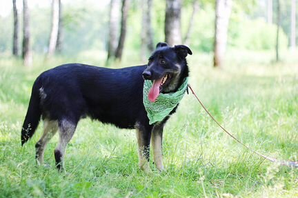 Ищет дом ребёнок