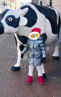 Куртка демисезон / еврозима