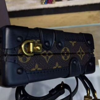 Сумка Louis Vuitton Petite Malle