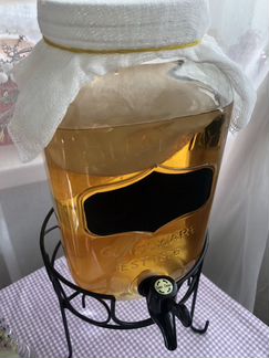 Чайный гриб. Камбуча