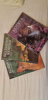 Кошки. Книги